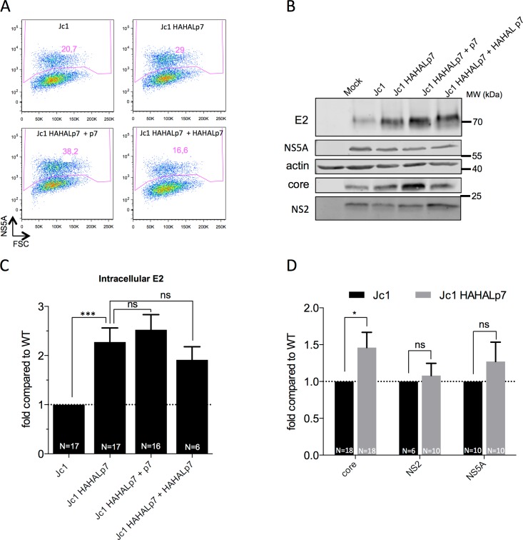 Fig 3