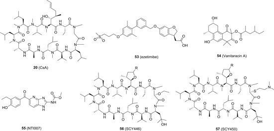 Figure 13