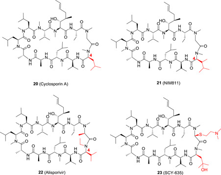 Figure 5