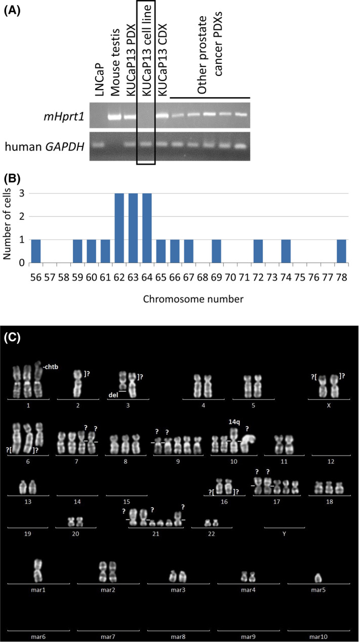 FIGURE 2