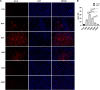 FIG 12