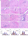 FIG 13
