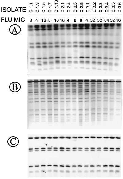 FIG. 5