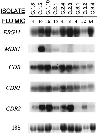 FIG. 6