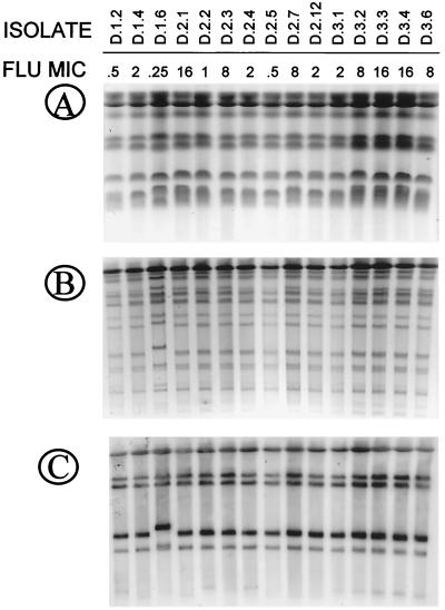 FIG. 7