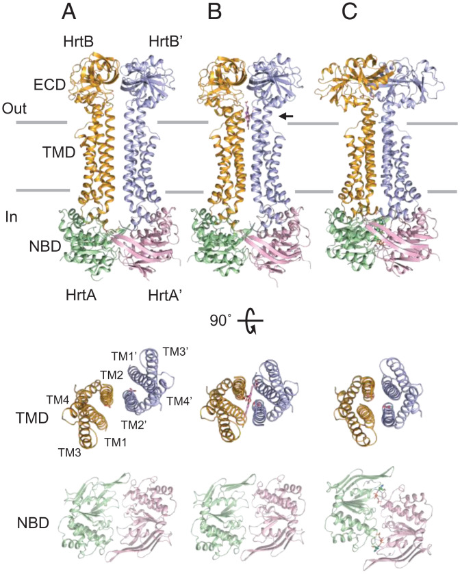 Fig. 2.