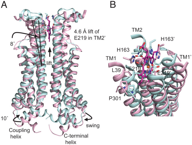 Fig. 4.