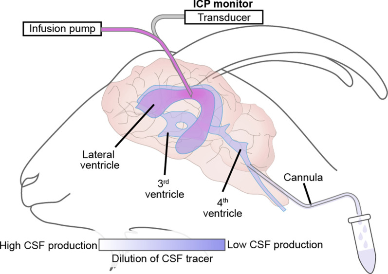 Fig. 6