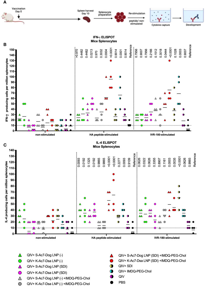 Figure 4