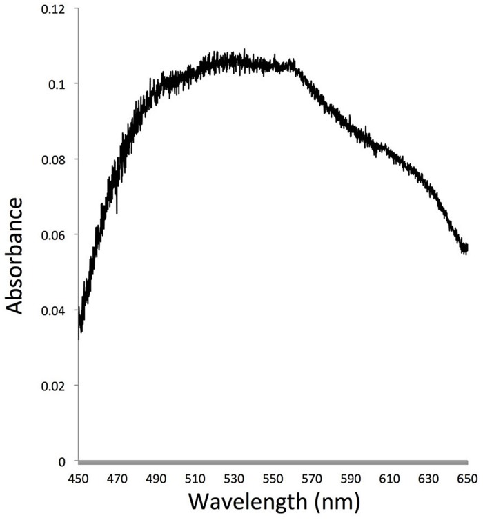 FIGURE 5