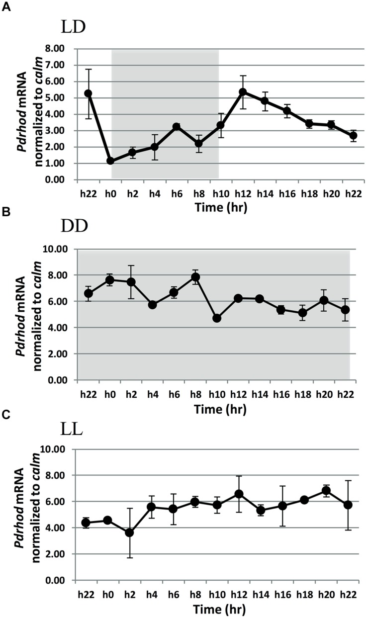 FIGURE 2