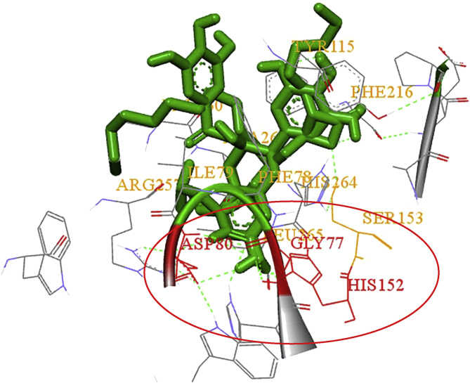 Fig. 11