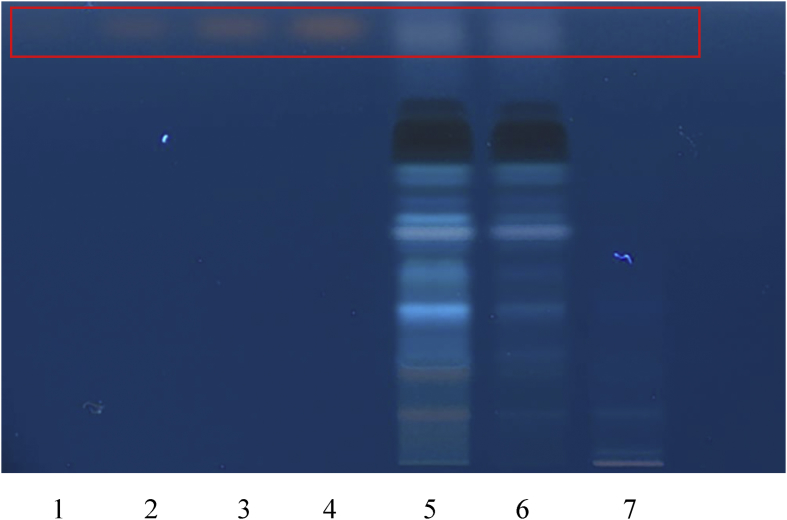 Fig. 7