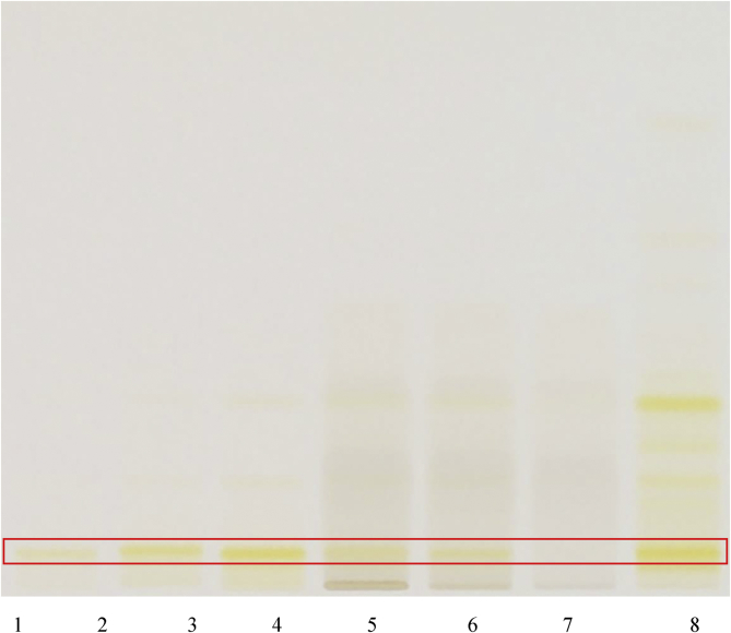 Fig. 6