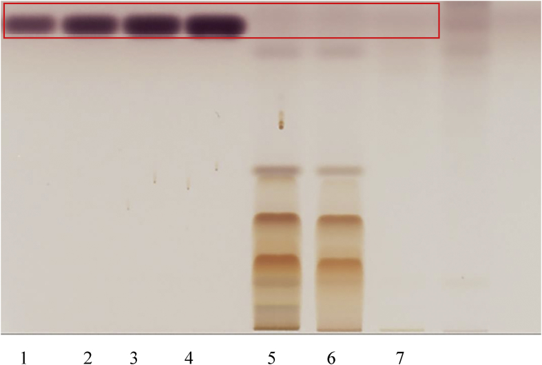 Fig. 8