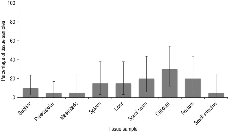 Fig. 2.