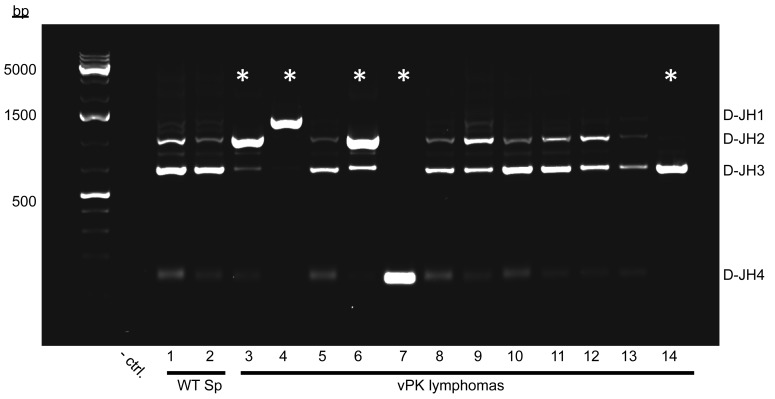 Figure 9