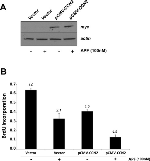 FIGURE 2: