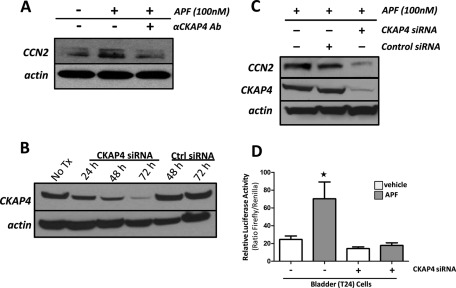 FIGURE 4: