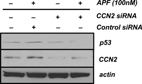 FIGURE 3: