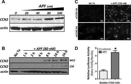 FIGURE 1: