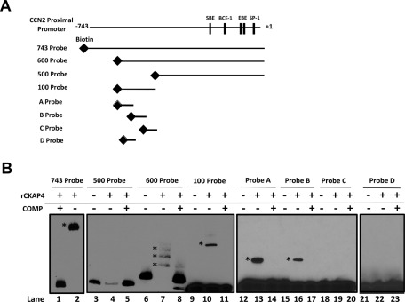 FIGURE 6: