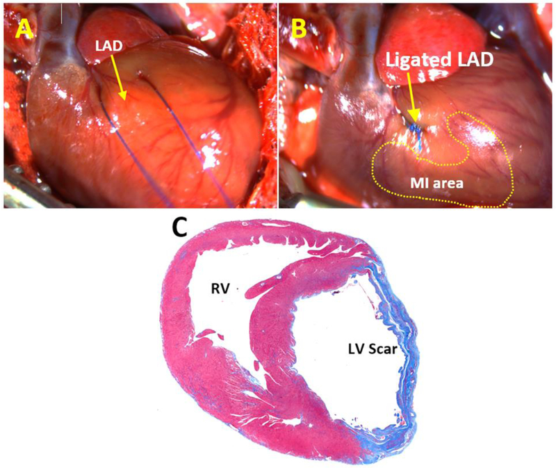 Fig. 3.