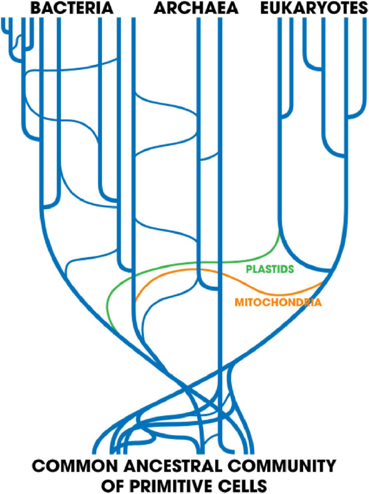 FIGURE 3