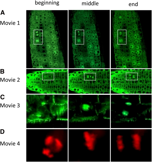 Figure 10.