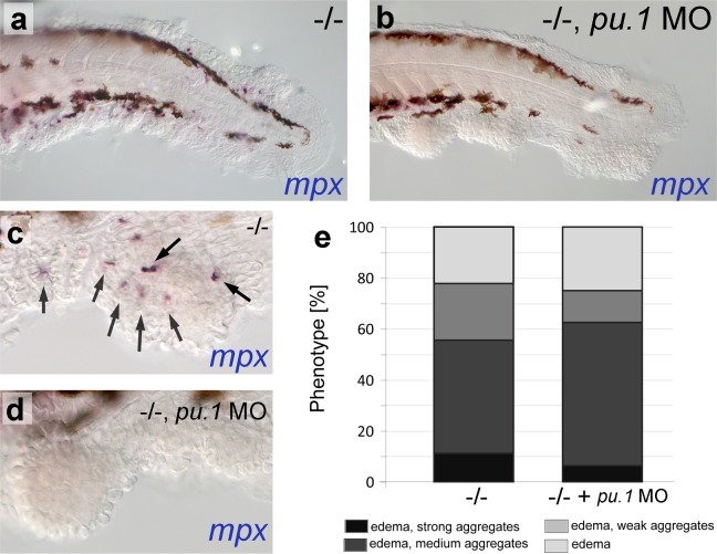 Figure 2—figure supplement 2.