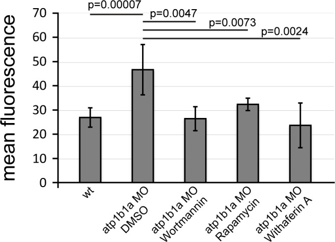 Figure 9—figure supplement 2.