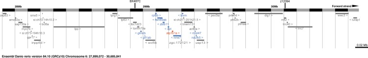 Figure 3—figure supplement 1.