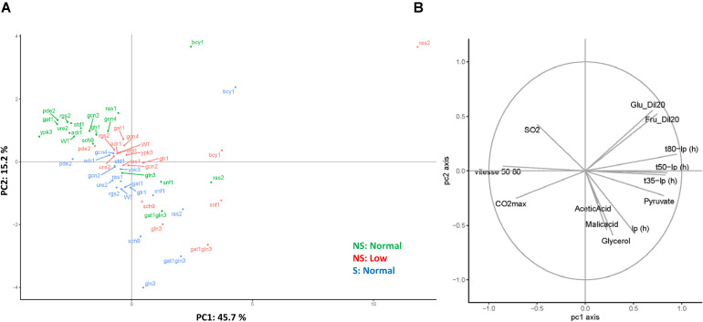 FIGURE 3