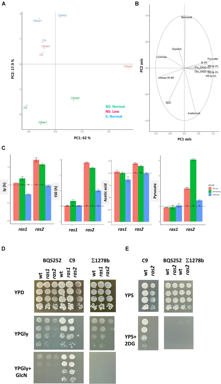 FIGURE 6