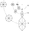 Figure 20.