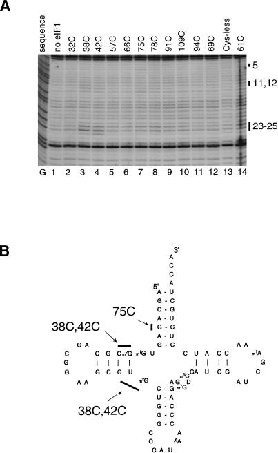 Figure 5.