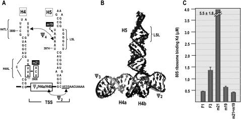 FIGURE 7.