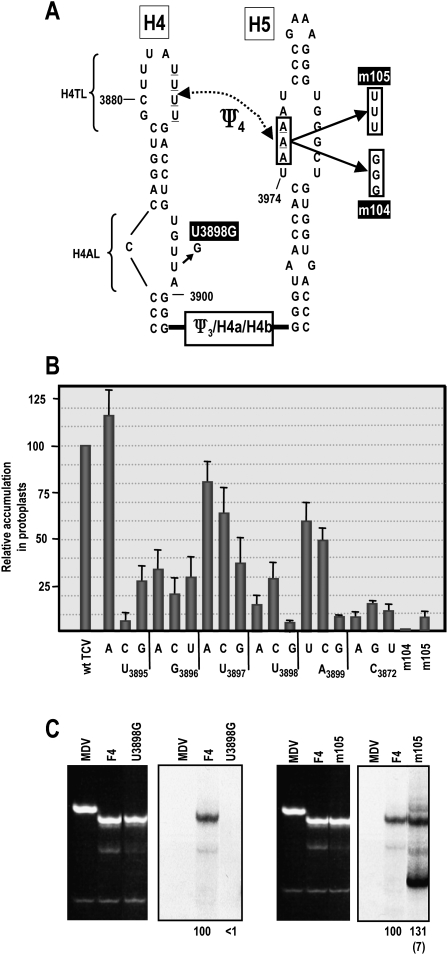 FIGURE 4.