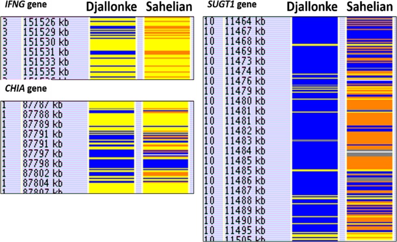 Fig. 4