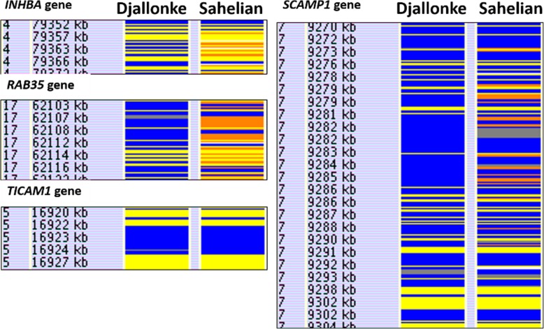 Fig. 3