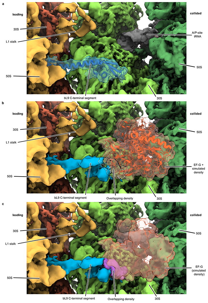 Extended Data Fig. 6.