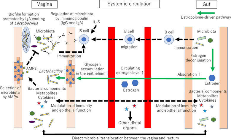 Figure 2