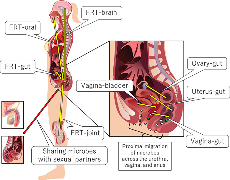 Figure 1