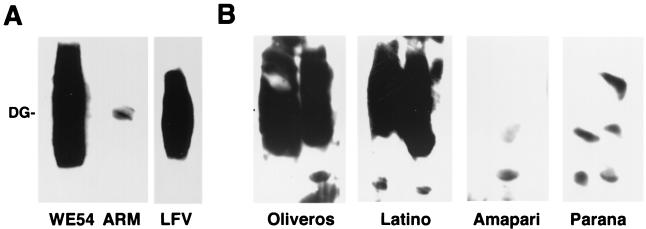 FIG. 2.