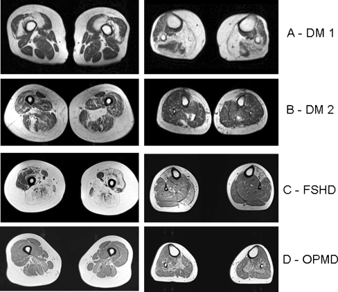 Fig. 6