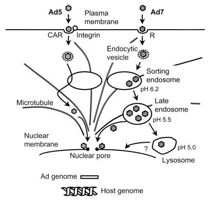 FIG. 10