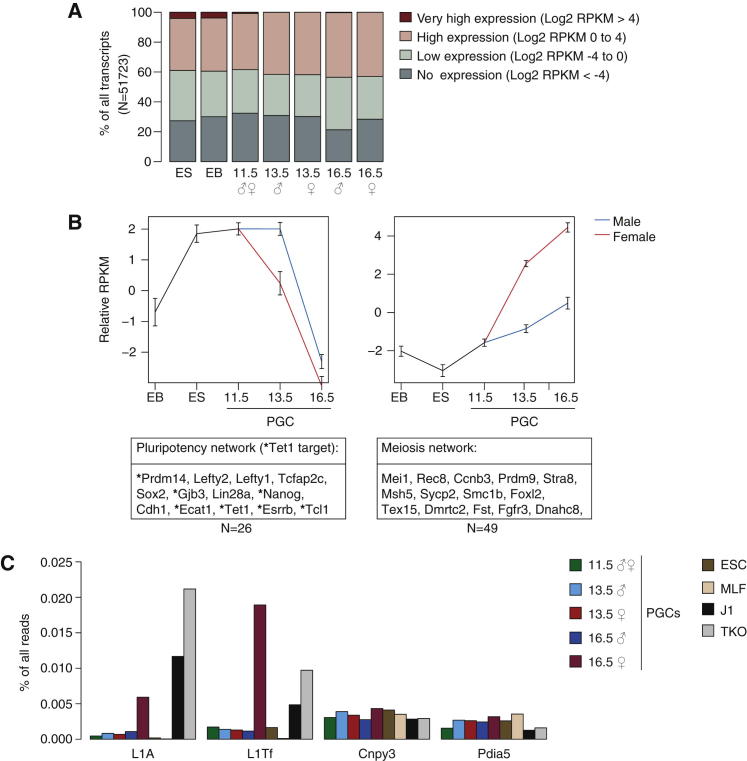 Figure 6