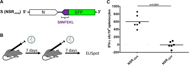 FIG 2