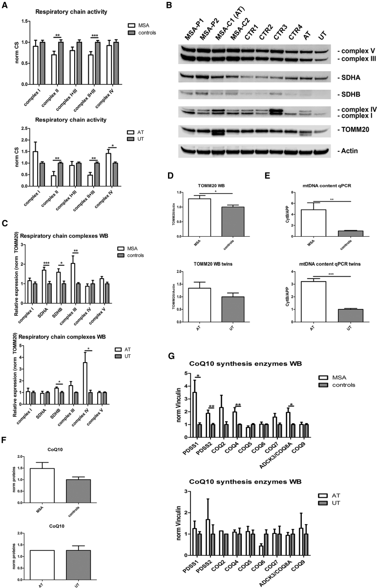 Figure 6