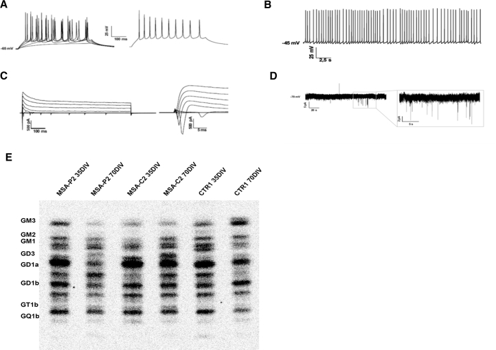 Figure 3